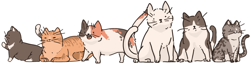 Imagem de gatinhos