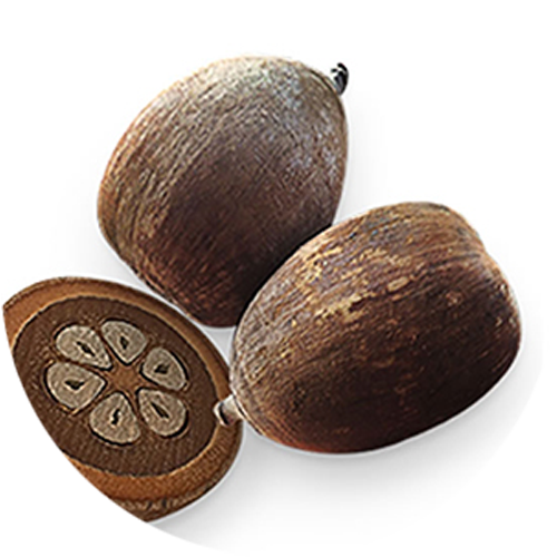 Babaçu